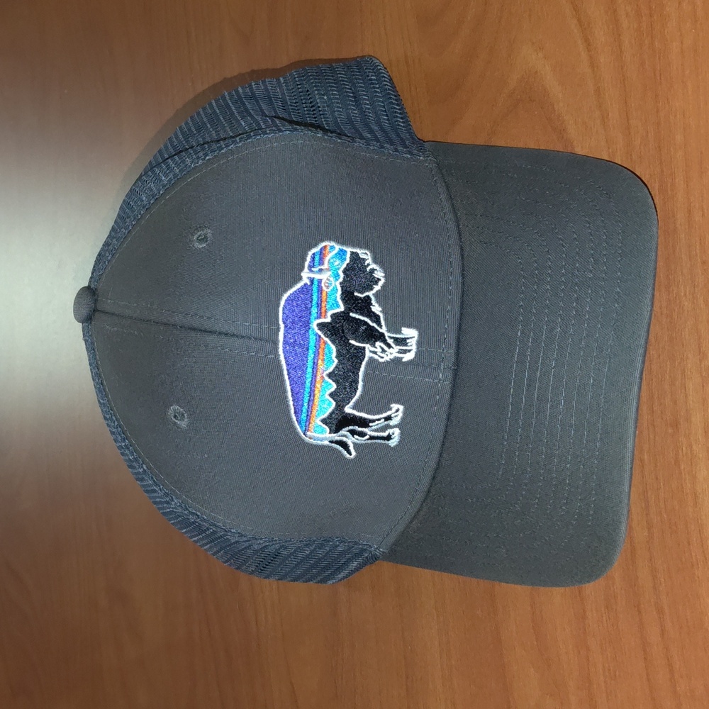 Patagonia Fitz Roy Bison Lopro Trucker Hat